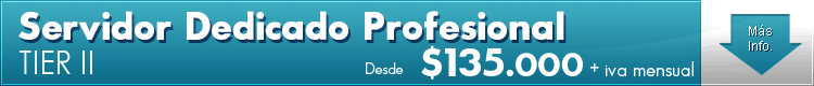 Servidor Profesional